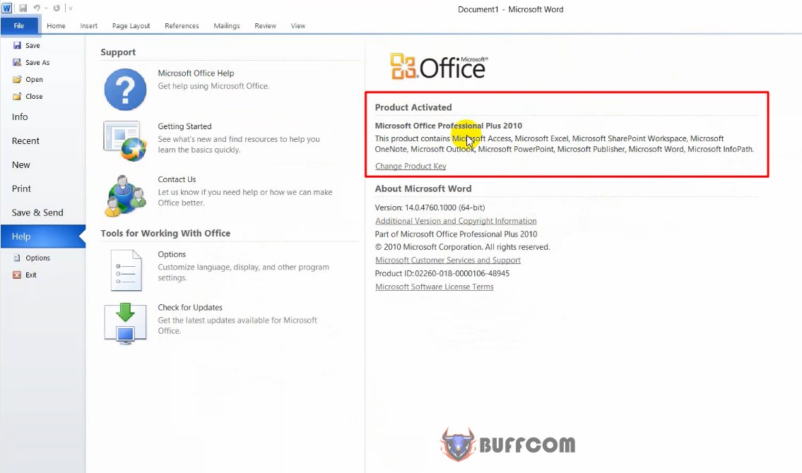 Microsoft Office Professional Plus 2010 4