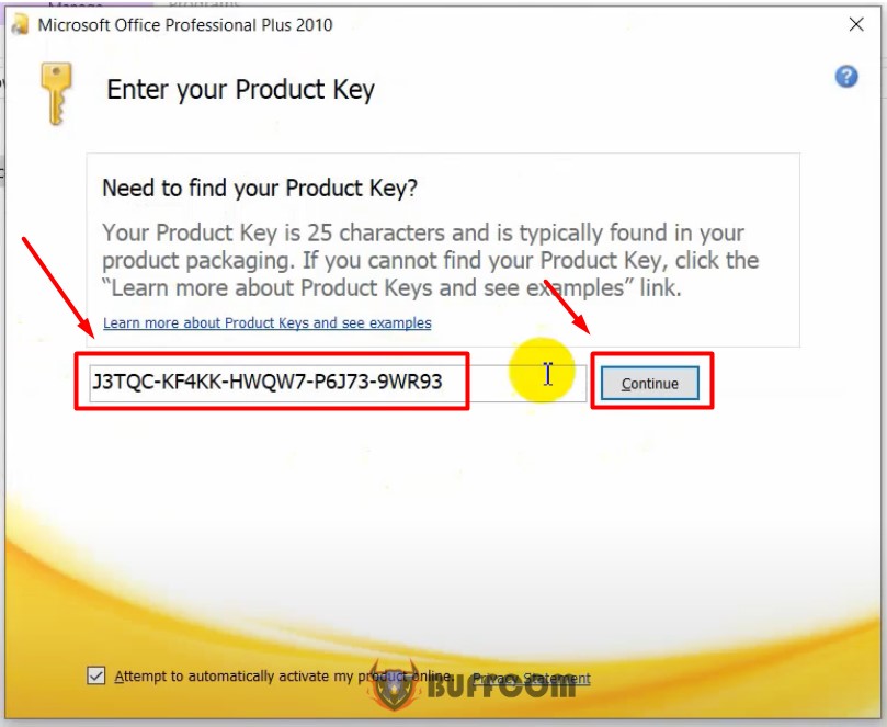 Microsoft Office Professional Plus 2010 key 2