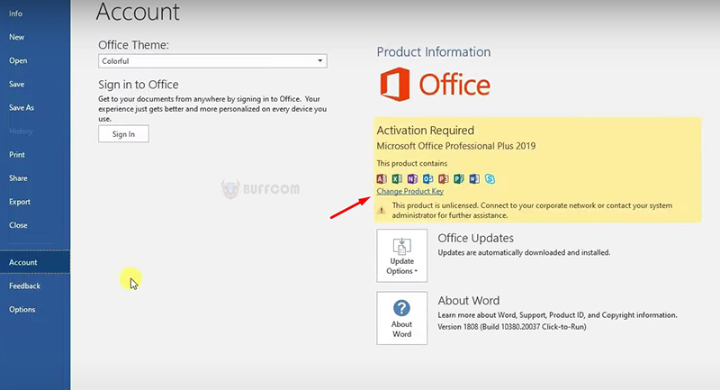 how to install Office Professional Plus 2019 5
