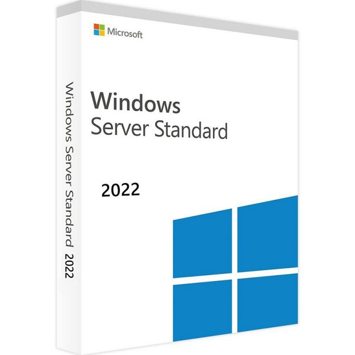 Microsoft Windows Server 2022 Standard 3