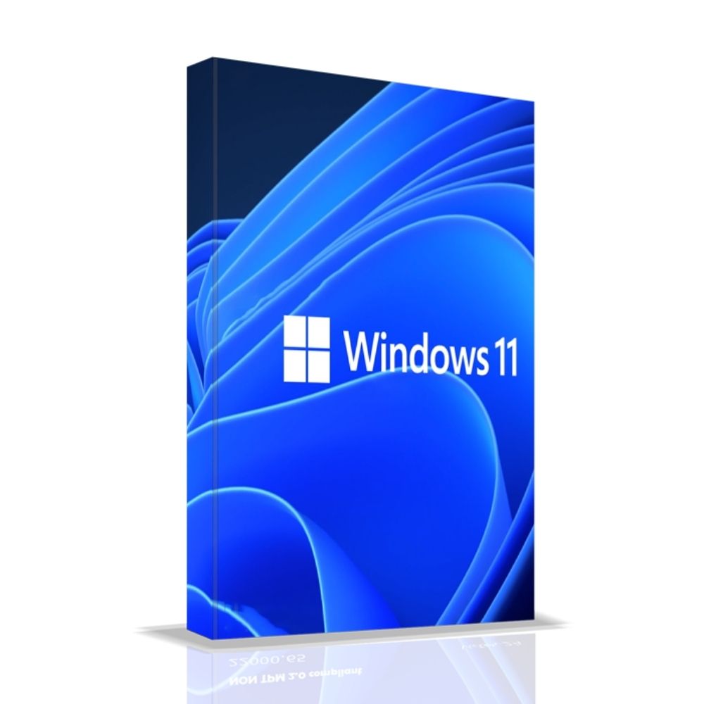 Windows 11 Pro 12