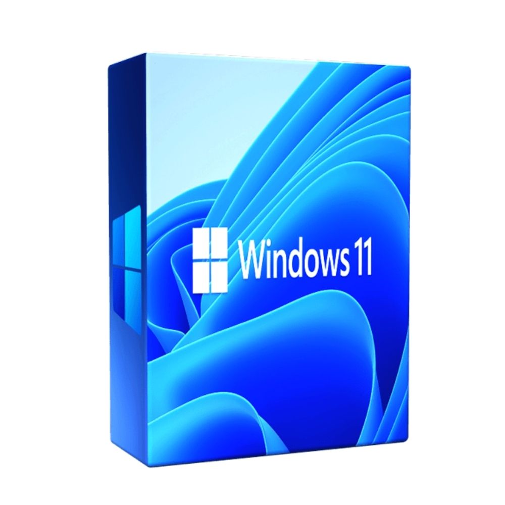 Windows 11 Pro 13