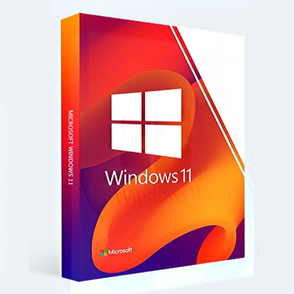 Windows 11 Pro 14