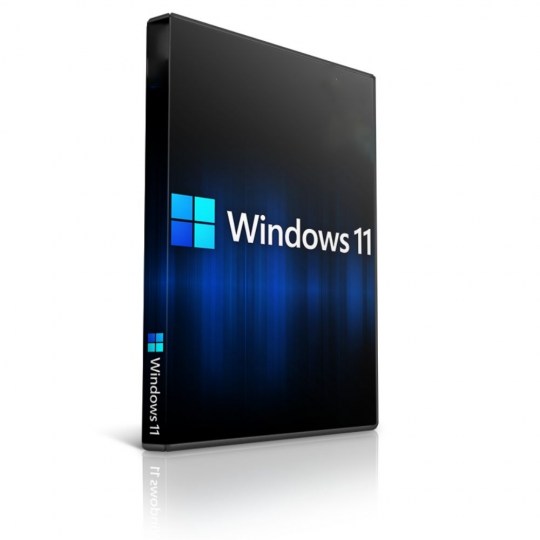 Windows 11 Pro 9