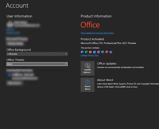 new in Office 2021 Professional Plus