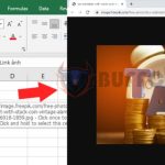 Guide on how to insert an image link into an Excel worksheet