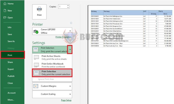 2 Ways to Print a Selected Range of Data in Excel