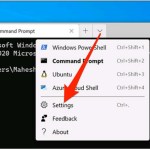 How to reset Windows Terminal to default settings