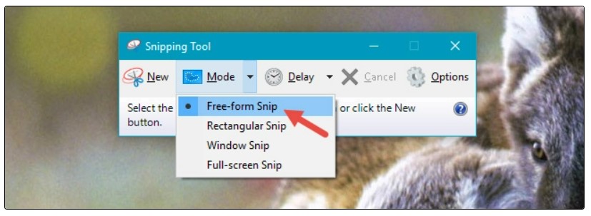 How to use Snipping Tool on Windows 10 10