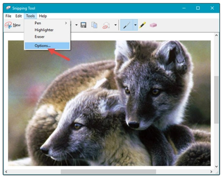 How to use Snipping Tool on Windows 10 17