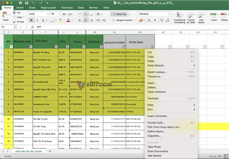 Transfer from Excel to Word 1