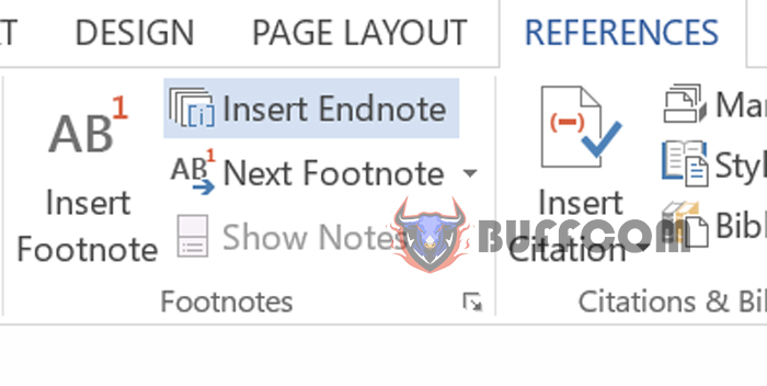 footnote and endnote 1