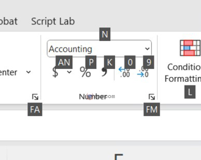 Applying accounting number format in Excel to select cells