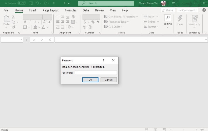 Excel File Security