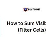 How to Sum Visible Cells Only (Filter Cells) in Excel