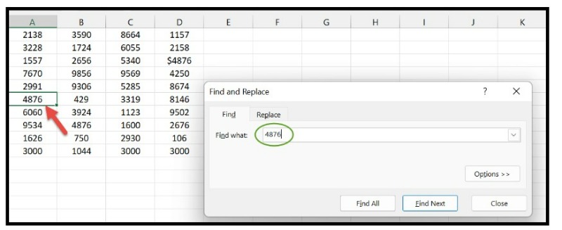 How to Find and Replace in Excel 2