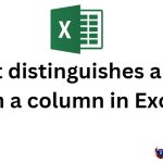 What distinguishes a row from a column in Excel?