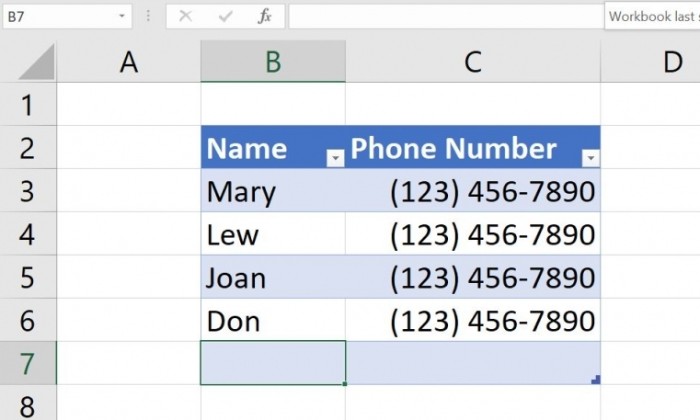 Enforce a Consistent Phone Number Format 6