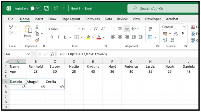 Filter in Excel 2