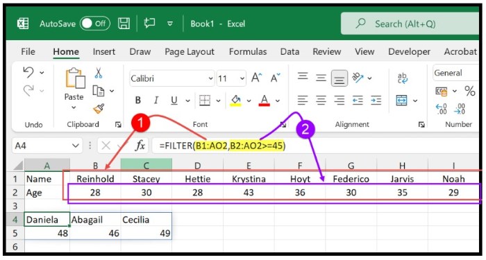 Filter in Excel 3