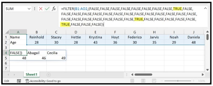 Filter in Excel 4