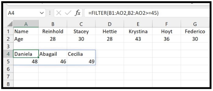 Filter in Excel 5