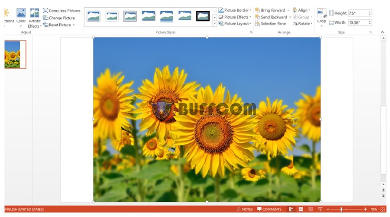 How to Blur Images In PowerPoint 10