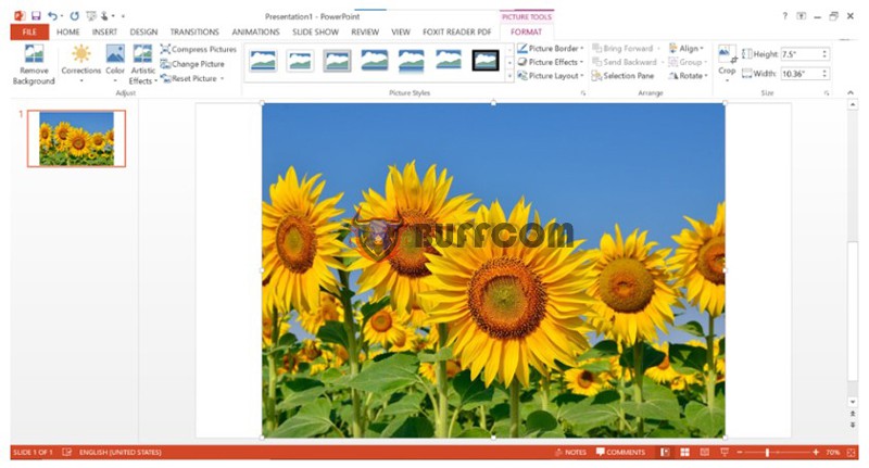 How to Blur Images In PowerPoint 4