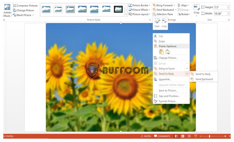 How to Blur Images In PowerPoint 9