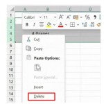 How to Delete Rows in Excel, Individually or in Bulk.