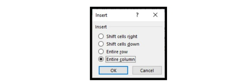 How to Insert a Column in Excel 2