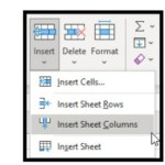 How to Insert a Column in Excel