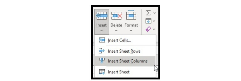 How to Insert a Column in Excel 7