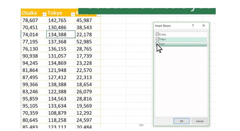 How to Use Slicer In Excel 6