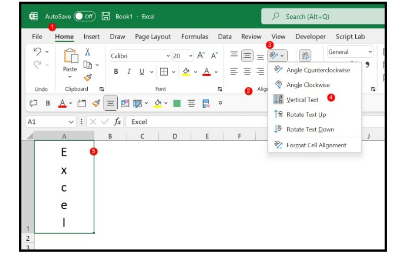 How to vertically type in Excel 2