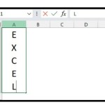 How to vertically type in Excel