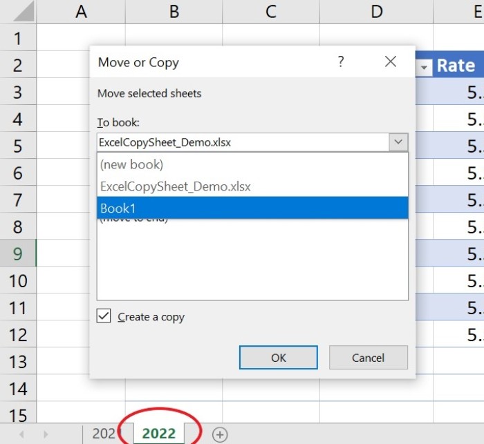 Steps to copy an Excel sheet into a new workbook