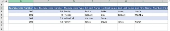 Tip for Excel: Three cell formats to fit header text