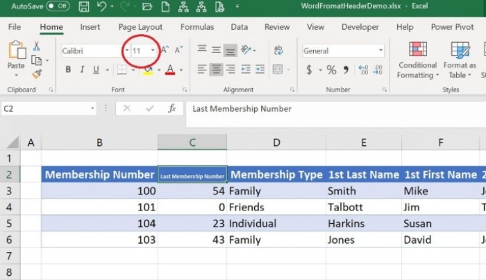 Tip for Excel: Three cell formats to fit header text