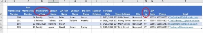 Tip for Excel: Three cell formats to fit header text