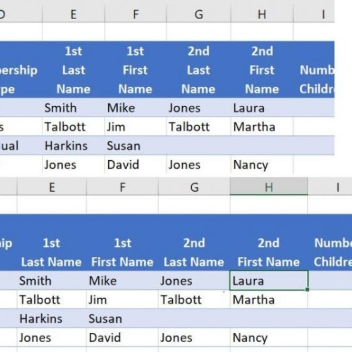 Tip for Excel: Three cell formats to fit header text