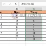 Using DAY, MONTH, YEAR functions to extract date in Excel