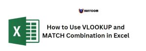 How to Use VLOOKUP and MATCH Combination in Excel