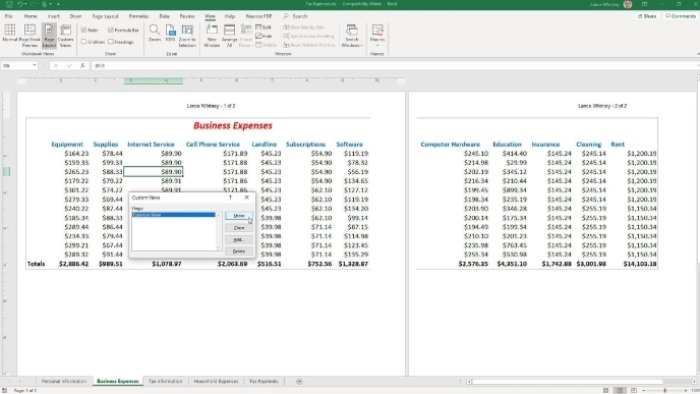 How to utilize different views in Microsoft Excel