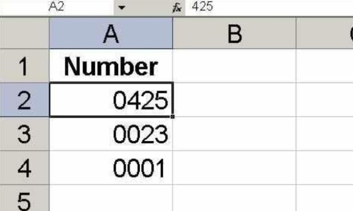 How to retain leading zeroes in Excel