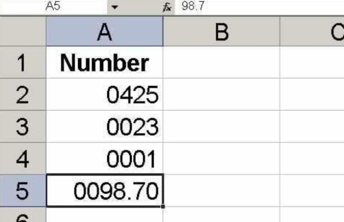 How to retain leading zeroes in Excel