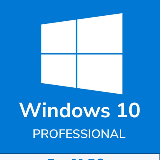 windows 10 pro 20 pc