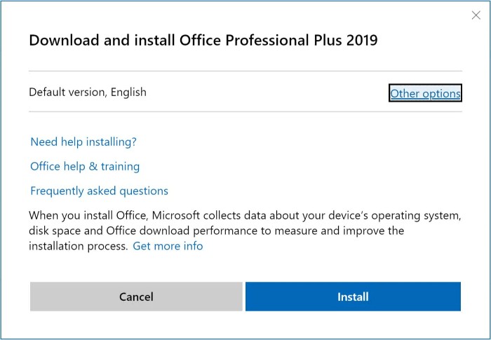Installation and Activation Guide for Office Professional Plus 2019 7