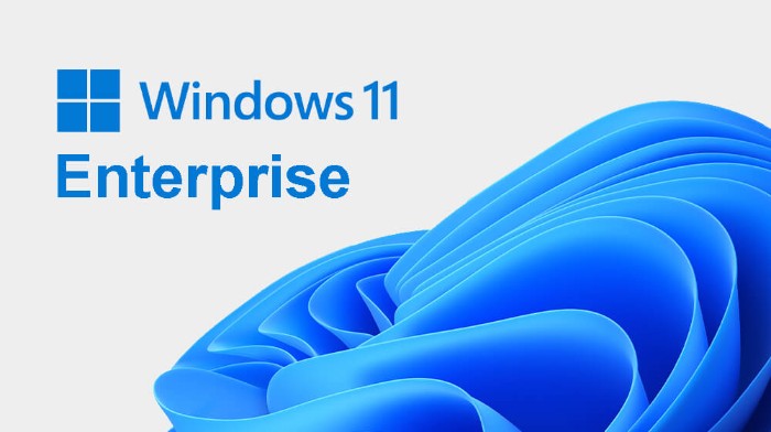 Windows 11 Editions List Comparison 4