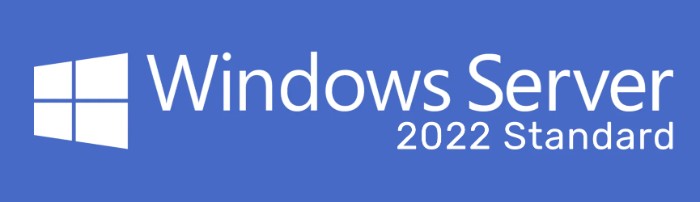 Windows Server 2022 Editions and Features 1